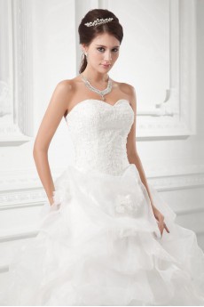 Organza Sweetheart A Line Gown with Embroidery