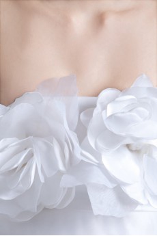 Organza and Satin Strapless A Line Gown