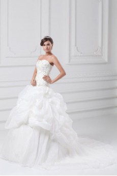 Organza Strapless A Line Gown with Embroidery