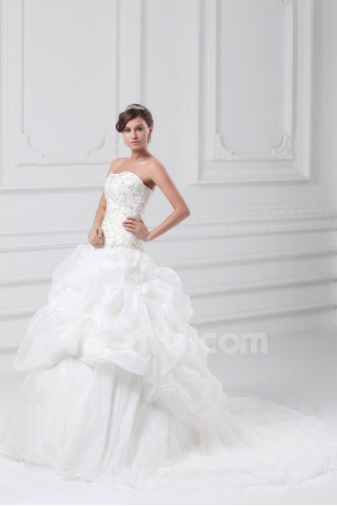 Organza Strapless A Line Gown with Embroidery