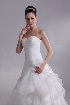 Organza Sweetheart A Line Gown with Embroidery