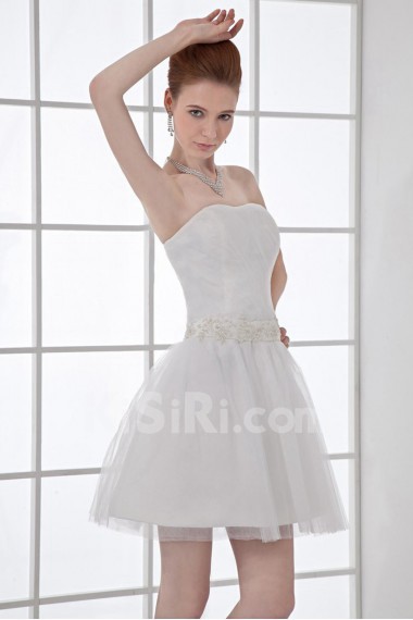 Net and Satin Strapless Short Dress with Sash