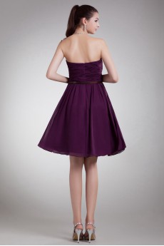 Chiffon Strapless Knee Length Dress with Sash