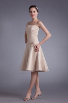 Net Strapless Knee Length Sheath Dress with Embroidery