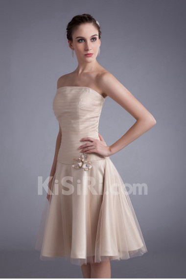 Net Strapless Knee Length Sheath Dress with Embroidery