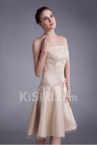 Net Strapless Knee Length Sheath Dress with Embroidery