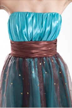 Organza Strapless Dress with Embroidery