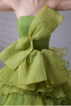 Organza Strapless A Line Dress