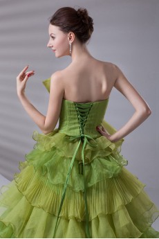 Organza Strapless A Line Dress