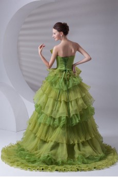 Organza Strapless A Line Dress