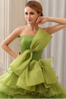 Organza Strapless A-Line Dress