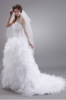 Organza Sweetheart Ball Gown 