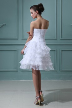 Organza Strapless Short A-line Dress with Embroidery