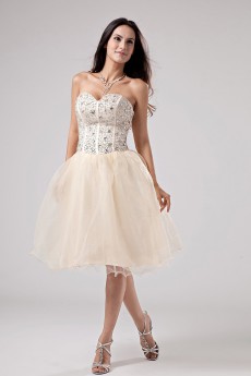 Yarn Sweetheart Short Ball Gown with Embroidery