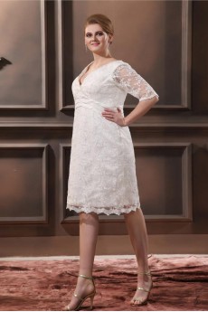 Lace V-Neck Plus Size Dress with Three Quarter Sleeves