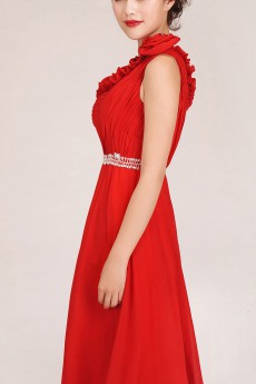 Chiffon  Floor Length A-Line Dress with Sequins