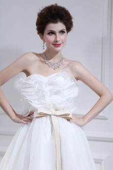 Organza Strapless Floor Length Ball Gown