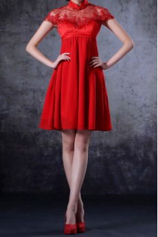 Chiffon High Collar Neckline Short Dress