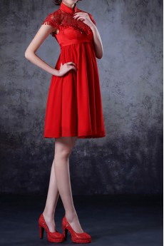 Chiffon High Collar Neckline Short Dress