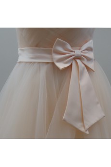 Tulle Short/Minin Sweetheart Sleeveless A-line Dress with Bow